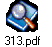 313.pdf